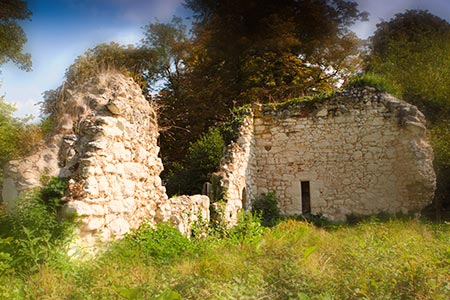 Ankerwycke Priory