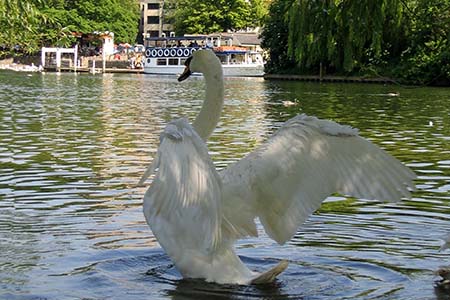 on the tranquility of the river . . .