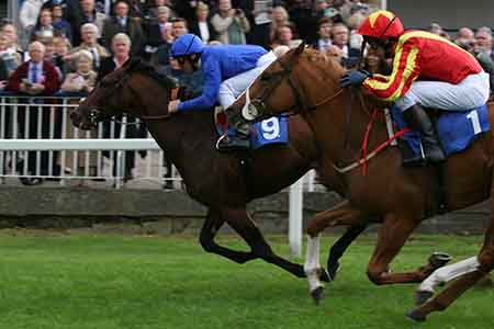 French Brothers Boats Windsor Races Shuttle Image 3