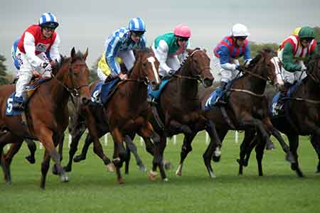 French Brothers Boats Racegoers River Package Image 2